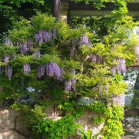 La Casa Sopra Le Nuvole Villa Medesano Bagian luar foto
