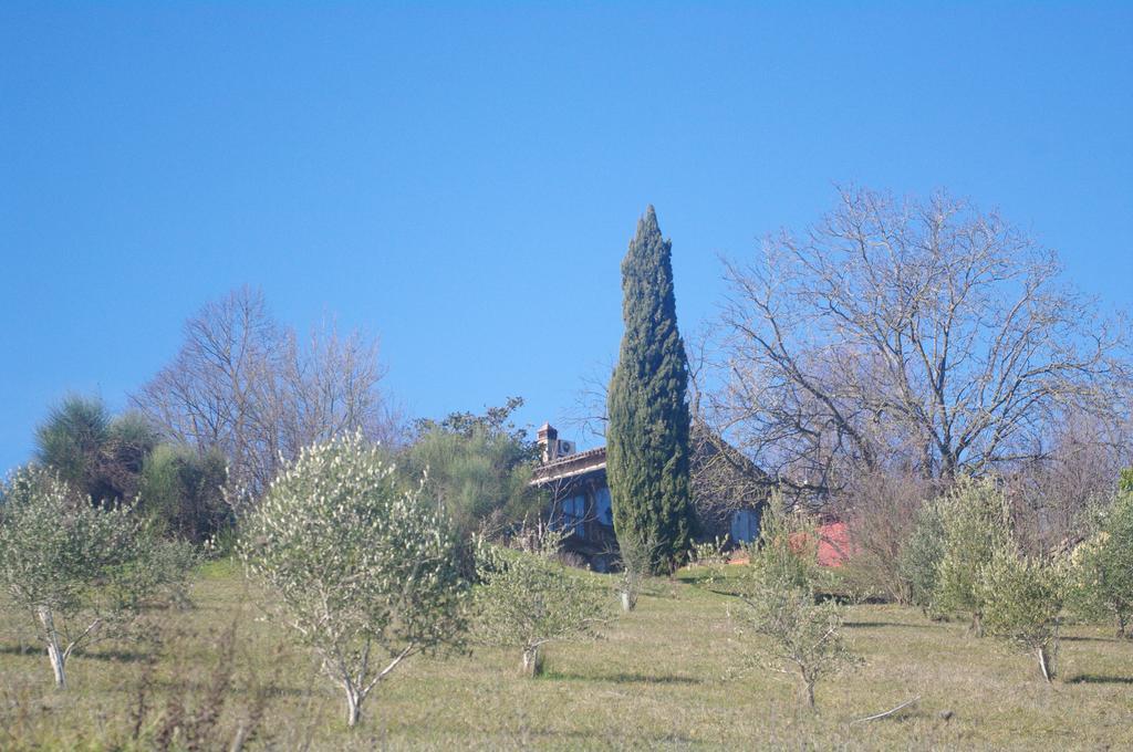 La Casa Sopra Le Nuvole Villa Medesano Bagian luar foto
