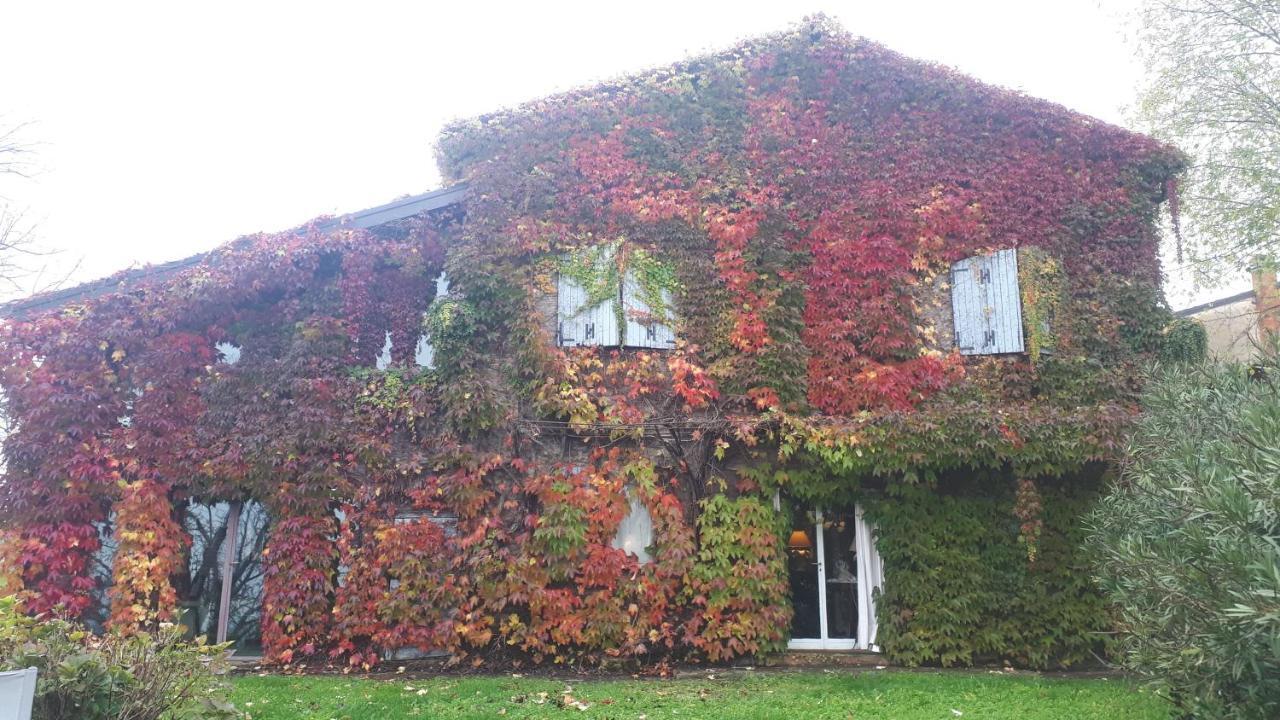 La Casa Sopra Le Nuvole Villa Medesano Bagian luar foto