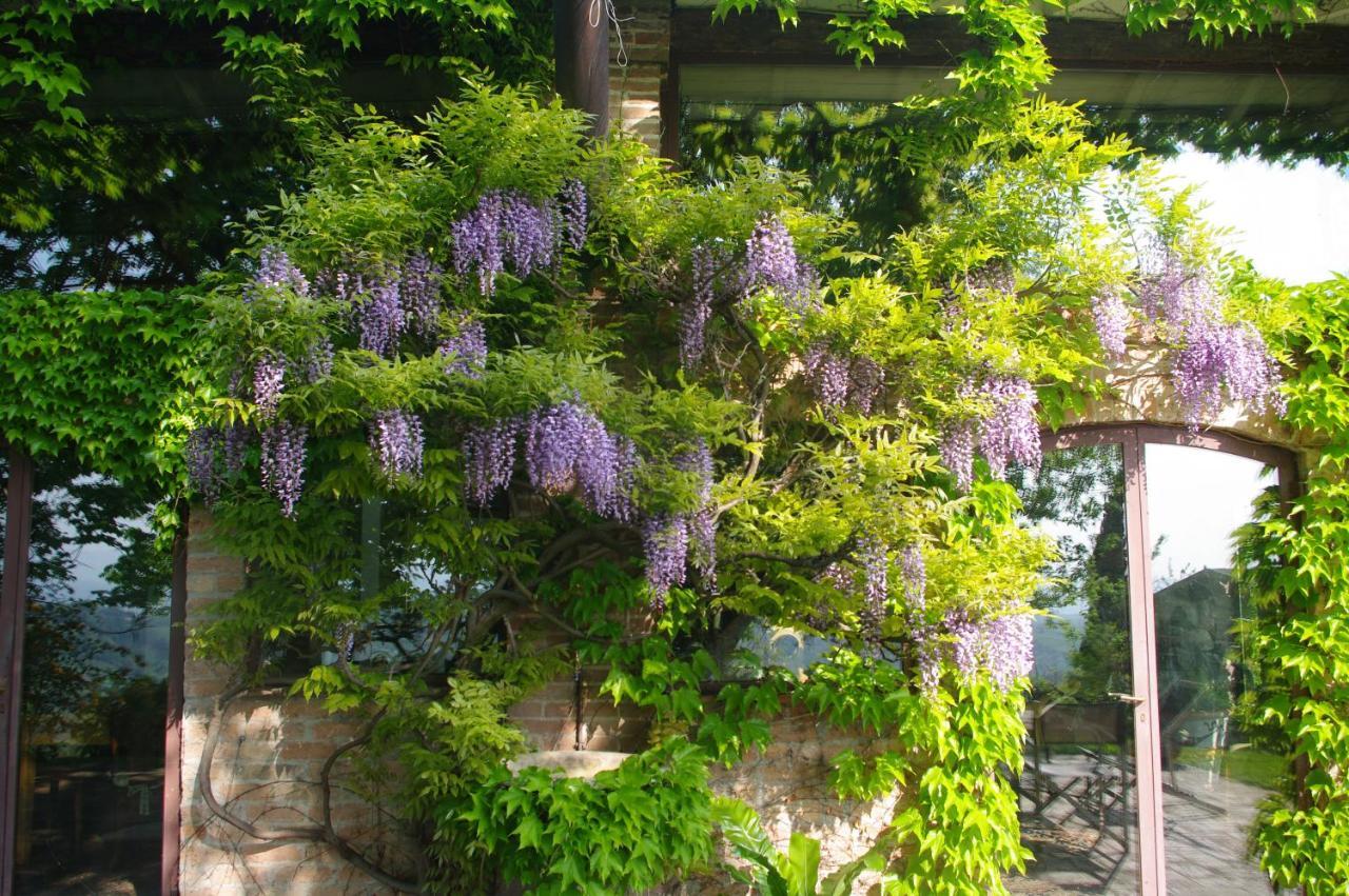 La Casa Sopra Le Nuvole Villa Medesano Bagian luar foto